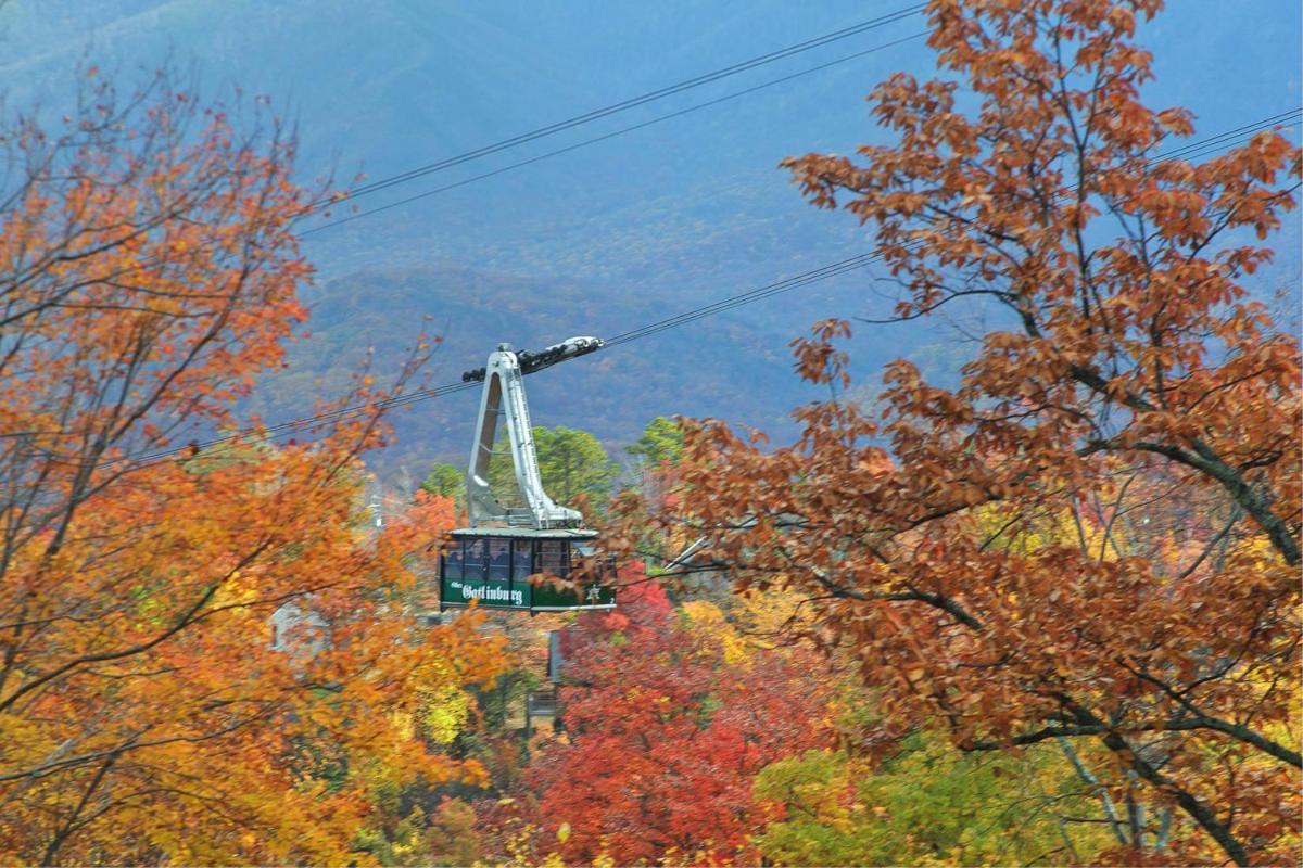 Ridgetop Retreat 塞维尔维尔 外观 照片